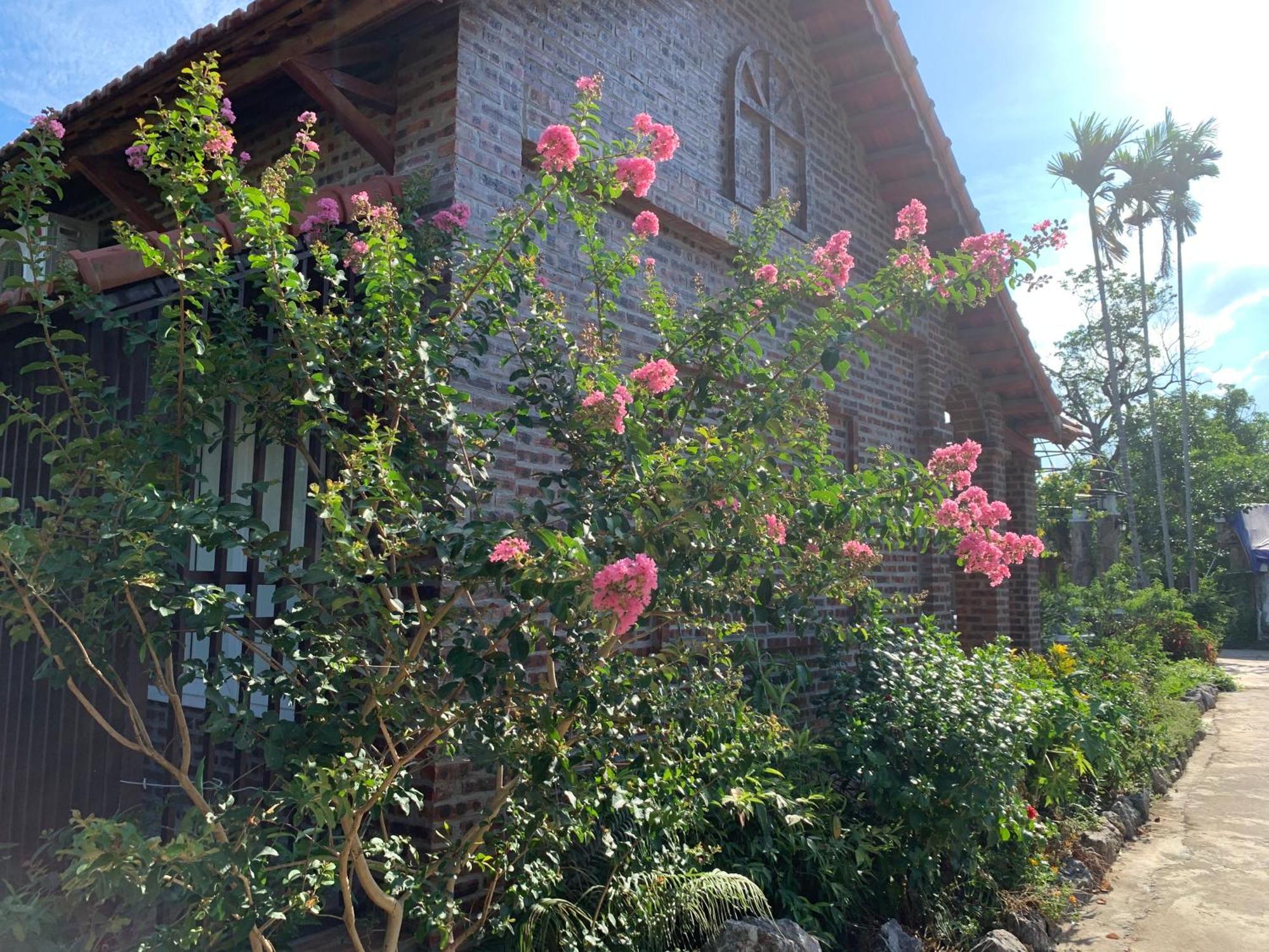 Dinh Gia Home Villa & Resort Ниньбинь Экстерьер фото